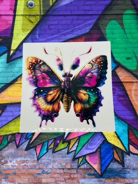 20. Colorful Butterfly Moth
