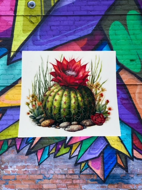 156. Cactus Decal