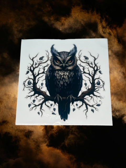 428. Spooky Owl Decal