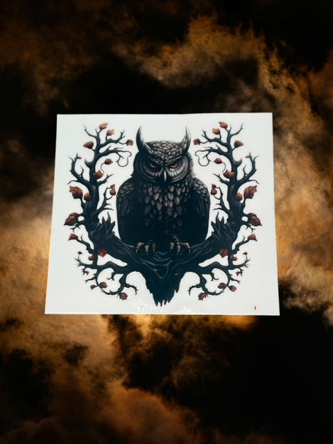 438. Spooky Owl Decal