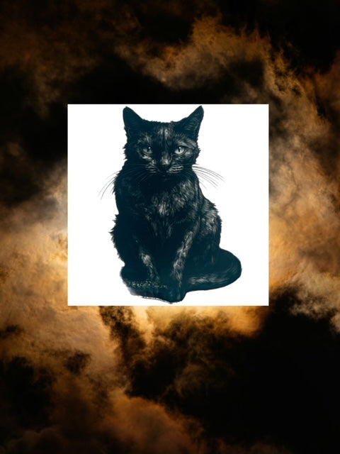 444. Binx Kitty Decal